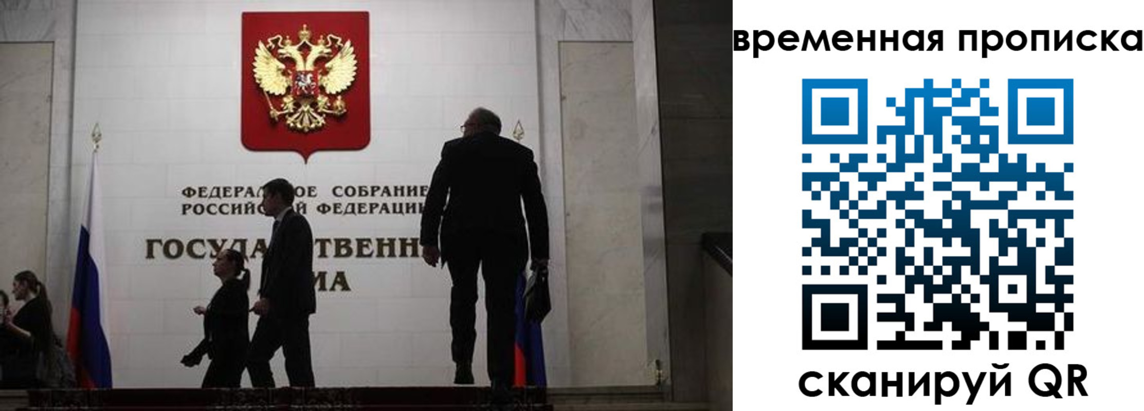 форма 3 в Светлогорске